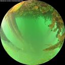 ./images/calvert/underwater/20260626/underwater20260626_151502M.jpg