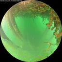 ./images/calvert/underwater/20260626/underwater20260626_152501M.jpg