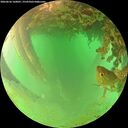 ./images/calvert/underwater/20260626/underwater20260626_160001M.jpg