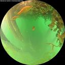 ./images/calvert/underwater/20260626/underwater20260626_160501M.jpg