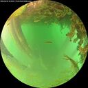 ./images/calvert/underwater/20260626/underwater20260626_161001M.jpg