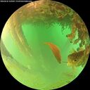 ./images/calvert/underwater/20260626/underwater20260626_163001M.jpg