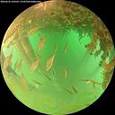 ./images/calvert/underwater/20260626/underwater20260626_164502M.jpg