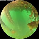 ./images/calvert/underwater/20260626/underwater20260626_165001M.jpg