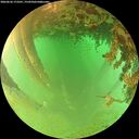 ./images/calvert/underwater/20260626/underwater20260626_173501M.jpg
