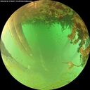 ./images/calvert/underwater/20260626/underwater20260626_174001M.jpg