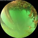 ./images/calvert/underwater/20260626/underwater20260626_174501M.jpg