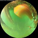./images/calvert/underwater/20260626/underwater20260626_175501M.jpg