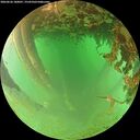 ./images/calvert/underwater/20260626/underwater20260626_180001M.jpg