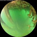 ./images/calvert/underwater/20260626/underwater20260626_180501M.jpg