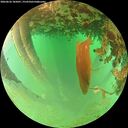 ./images/calvert/underwater/20260626/underwater20260626_185001M.jpg