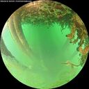 ./images/calvert/underwater/20260626/underwater20260626_185501M.jpg