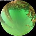 ./images/calvert/underwater/20260626/underwater20260626_190001M.jpg