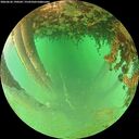 ./images/calvert/underwater/20260626/underwater20260626_190501M.jpg