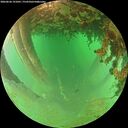 ./images/calvert/underwater/20260626/underwater20260626_191001M.jpg