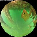 ./images/calvert/underwater/20260626/underwater20260626_191502M.jpg