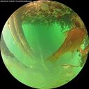 ./images/calvert/underwater/20260626/underwater20260626_192001M.jpg