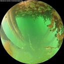 ./images/calvert/underwater/20260626/underwater20260626_192501M.jpg