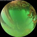./images/calvert/underwater/20260626/underwater20260626_193002M.jpg