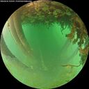 ./images/calvert/underwater/20260626/underwater20260626_193501M.jpg
