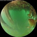./images/calvert/underwater/20260626/underwater20260626_194001M.jpg