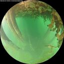 ./images/calvert/underwater/20260626/underwater20260626_194501M.jpg