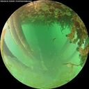 ./images/calvert/underwater/20260626/underwater20260626_195002M.jpg