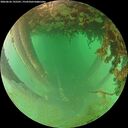./images/calvert/underwater/20260626/underwater20260626_195501M.jpg