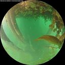./images/calvert/underwater/20260626/underwater20260626_200001M.jpg