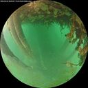 ./images/calvert/underwater/20260626/underwater20260626_200502M.jpg