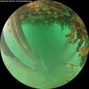 ./images/calvert/underwater/20260626/underwater20260626_201501M.jpg