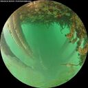 ./images/calvert/underwater/20260626/underwater20260626_202501M.jpg
