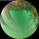 ./images/calvert/underwater/20260626/underwater20260626_203001M.jpg