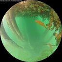 ./images/calvert/underwater/20260626/underwater20260626_203501M.jpg
