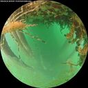./images/calvert/underwater/20260626/underwater20260626_204501M.jpg