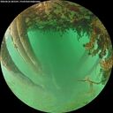./images/calvert/underwater/20260626/underwater20260626_205501M.jpg