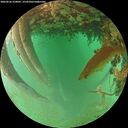 ./images/calvert/underwater/20260626/underwater20260626_210001M.jpg