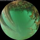 ./images/calvert/underwater/20260626/underwater20260626_210502M.jpg
