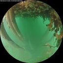 ./images/calvert/underwater/20260626/underwater20260626_211001M.jpg
