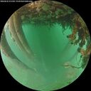 ./images/calvert/underwater/20260626/underwater20260626_211502M.jpg