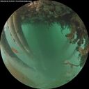 ./images/calvert/underwater/20260626/underwater20260626_212501M.jpg