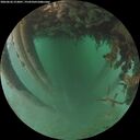 ./images/calvert/underwater/20260626/underwater20260626_213001M.jpg
