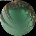 ./images/calvert/underwater/20260626/underwater20260626_213501M.jpg