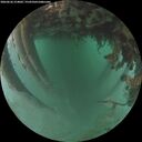 ./images/calvert/underwater/20260626/underwater20260626_214002M.jpg
