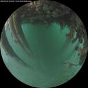 ./images/calvert/underwater/20260626/underwater20260626_214501M.jpg