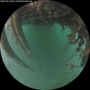 ./images/calvert/underwater/20260626/underwater20260626_215001M.jpg