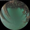 ./images/calvert/underwater/20260626/underwater20260626_215501M.jpg