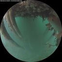 ./images/calvert/underwater/20260626/underwater20260626_220001M.jpg
