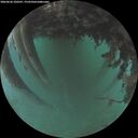 ./images/calvert/underwater/20260626/underwater20260626_220501M.jpg