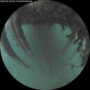 ./images/calvert/underwater/20260626/underwater20260626_221001M.jpg